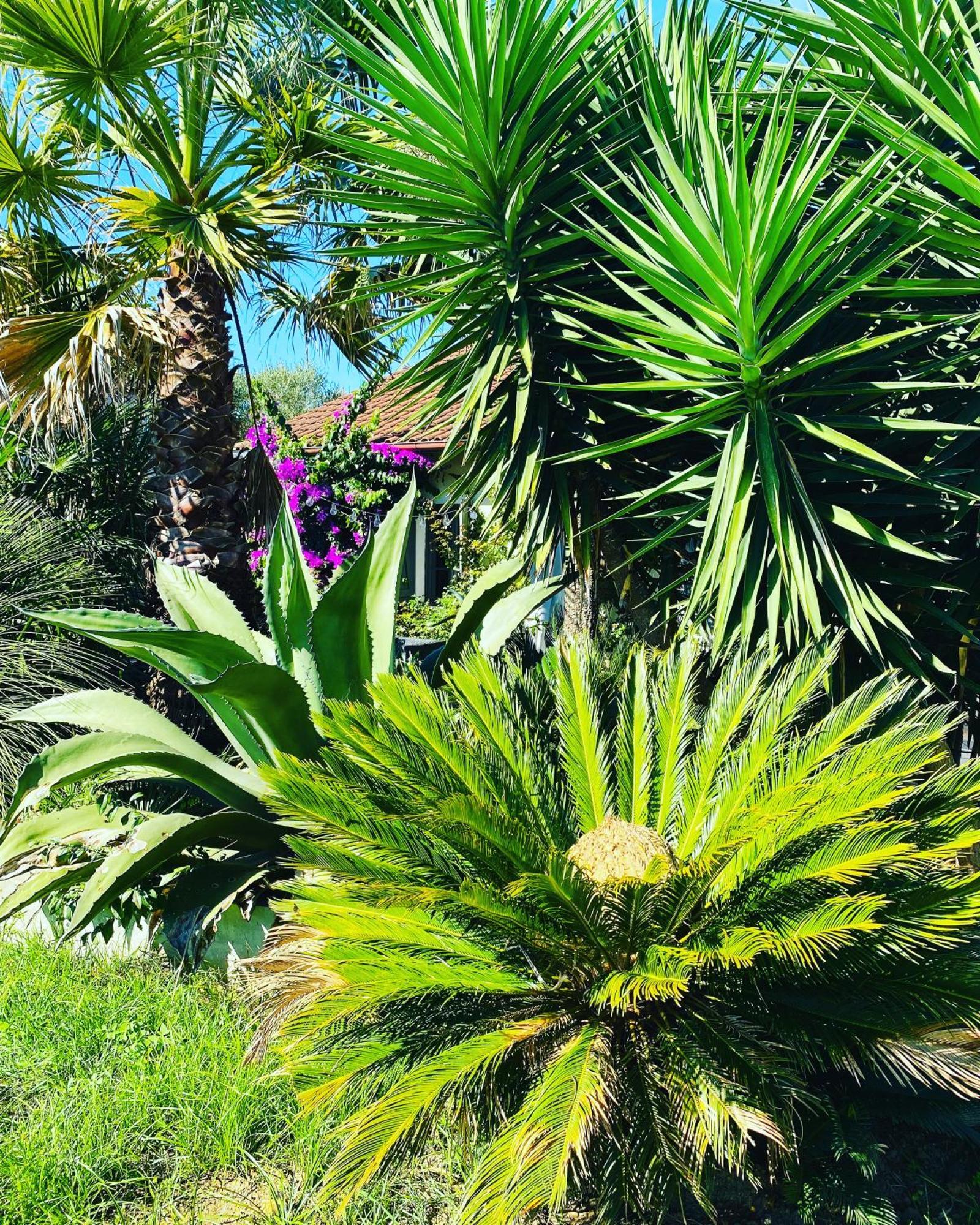 La Bastide De Guiche Entre Ocean Et Montagnes Apartment ภายนอก รูปภาพ